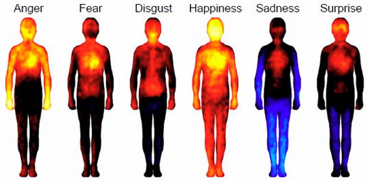 body-maps-color